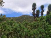 Sierra Miguelito declarada Área Natural Protegida