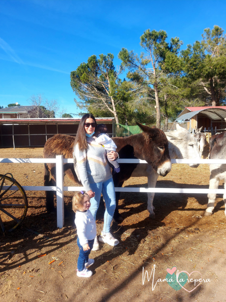 Excursión a Burrolandia para visitar con niños