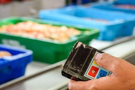 Comprar Mariscos online para Navidad Comprar Mariscos online para Navidad