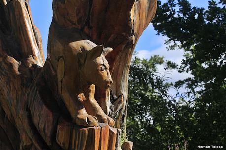 De paso por El Bolsón