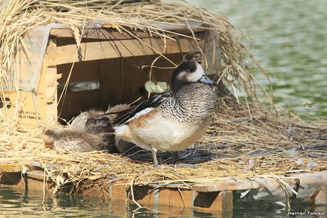 De paso por El Bolsón