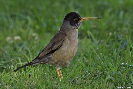 De paso por El Bolsón