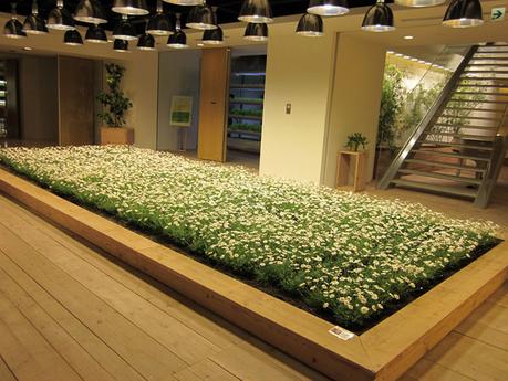 Ciudades Inteligentes: el valor de la tecnología centrada en los usuarios Ciudades Inteligentes: el valor de la tecnología centrada en los usuarios