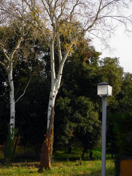 Sobra la farola… Sobra la farola…