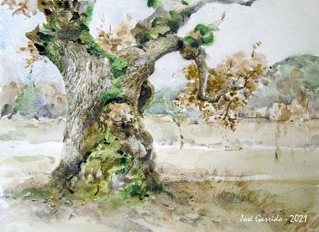 Colores Primatek de Daniel Smith