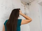 casero quiere hacer reparación vivienda: ¿qué puedo hacer?