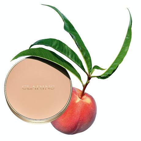 ever-matte-compact-powder-ingredientes