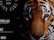 Curso Feng Shui Tigre