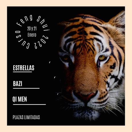 Curso Feng Shui Año del Tigre