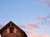 Neil Young Crazy Horse Human race (2021)