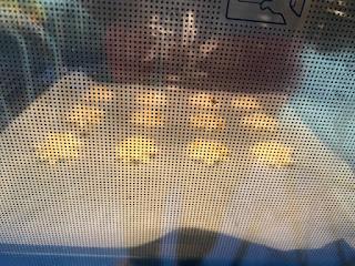 ESTRELLITAS DE HOJALDRE CON PESTO Y MOTZARRELLA