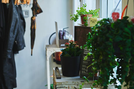 Blow Dry Bar comparte las claves para saber diferenciar una verdadera peluquería orgánica