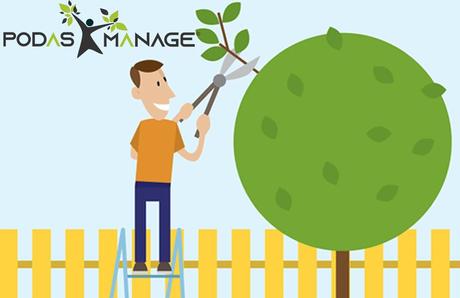 ¿Por qué la poda ayuda a mantener la salud y la calidad de los árboles? Por PODAS MANAGE