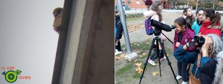 Villaverde mon amour