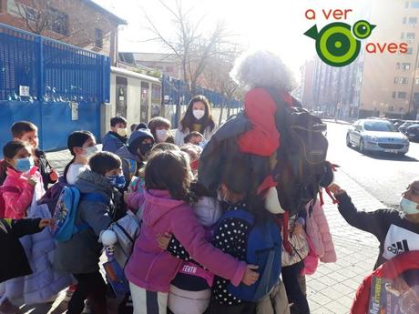 Villaverde mon amour