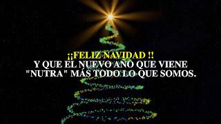 Celebra la Vida... esta Navidad. Y siempre. José María Toro