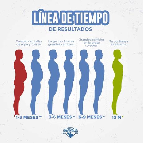 linea tiempo de resultados para adelgazar