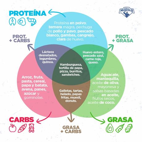diagrama proteínas, grasas y carbos