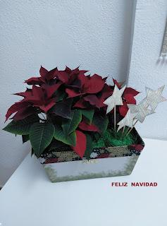 CAJA DE MEJILLONES & CENTRO NAVIDEÑO