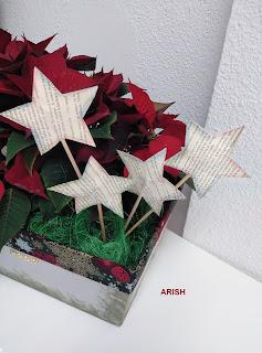 CAJA DE MEJILLONES & CENTRO NAVIDEÑO