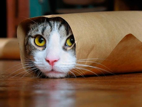 No te escondas No te escondas