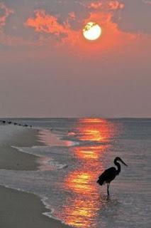 4.849 - SALIÓ LA LUNA...