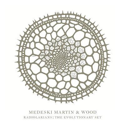 Medeski, Martin & Wood - Radiolarians The Evolutionary Set (2009)