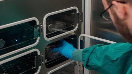 #TECNOLOGIA   |   Crean un 