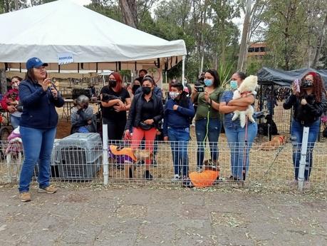 Adoptan 25 mascotas en el Primer Festival de Adopción 2021