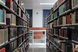 ¿HAY QUE ORDENAR LOS LIBROS? ¿HAY QUE ORDENAR LOS LIBROS?