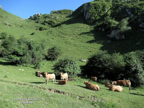 La Portilla d'Angón-Valle d'Angón-Ceremal-Bellanzu-La Jocica-Carombu