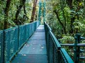fotohiking Costa Rica: Bosque Nuboso Monteverde
