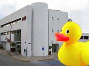 Detectan asociaciones civiles creadas políticos para lucrar