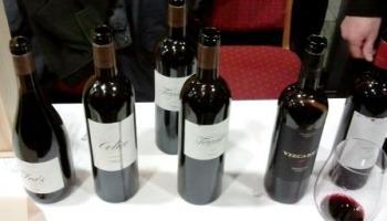 Condado de Fermosel Crianza 2016