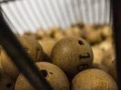 gordo sorteo Navidad sido 72850