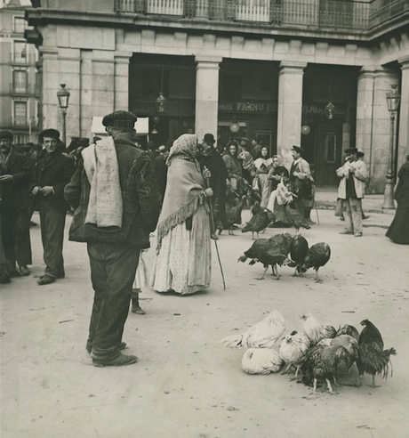 Fotos antiguas de Madrid: Vendedores de pavos en la Plaza Mayor (1930)