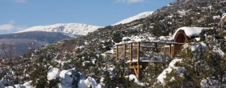 Sorprende a tus hijos con esta escapada: dormir en una casa en los árboles