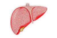 Uso de células placentarias para tratar la enfermedad hepática