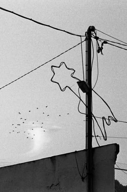 De nuevo, el emérito pretendió por Navidad volver a España.