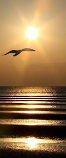 4.860 - Y TE ME CUIDAS...