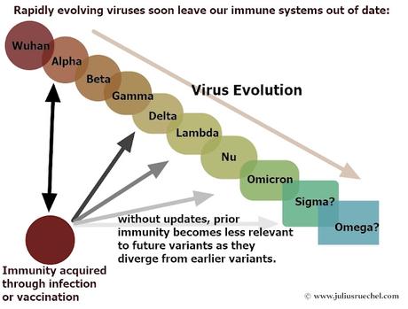 “Una media verdad es una mentira completa”: La variante Ómicron, inmunidad cruzada y la inventada ilusión de un virus sin precedentes