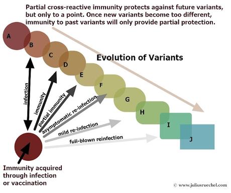 “Una media verdad es una mentira completa”: La variante Ómicron, inmunidad cruzada y la inventada ilusión de un virus sin precedentes “Una media verdad es una mentira completa”: La variante Ómicron, inmunidad cruzada y la inventada ilusión de un virus sin precedentes