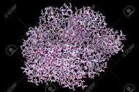 Tratamiento Innovador para Bloquear el Dolor Crónico Tratamiento Innovador para Bloquear el Dolor Crónico