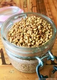 ¿Qué es el Fenogreco?