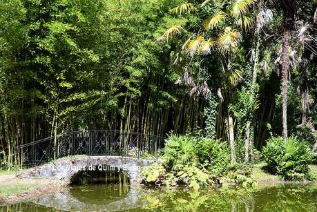 Zona romántica del jardín