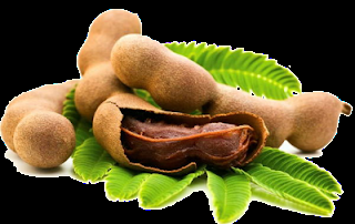 La leyenda del Tamarindo y su historia