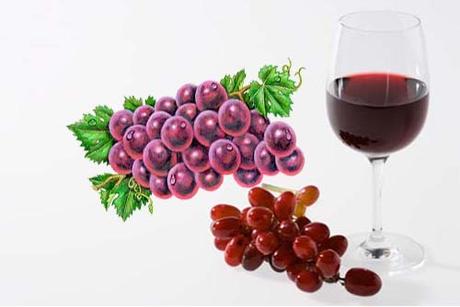 El Resveratrol y Sus Propiedades