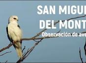 Miguel Monte (observación aves-agosto 2021)