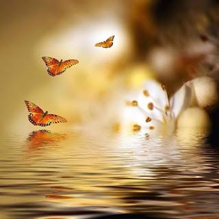 4.869 - CIERRO LOS OJOS...