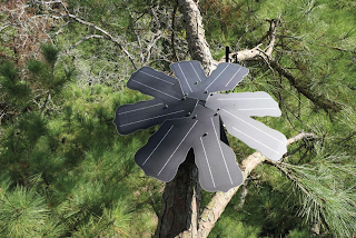 “GUARDIANES DEL BOSQUE” EL PROYECTO QUE PROTEGE LAS RESERVAS MASHPI Y TAYRA EN EL CHOCÓ ANDINO